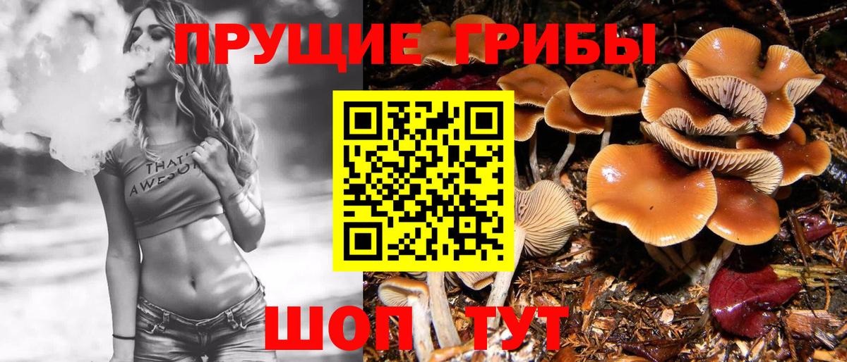 Псилоцибиновые грибы Magic Shrooms Алексин