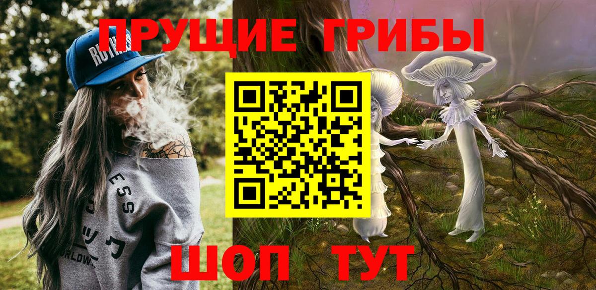 Алексин  Псилоцибиновые грибы MAGIC MUSHROOMS  Псилоцибиновые грибы Psilocybine cubensis  Вход с VPN 