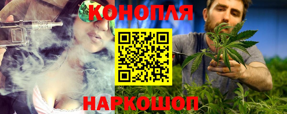 Каннабис гибрид Алексин